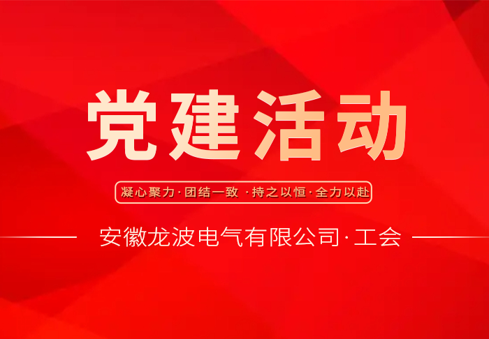 龙波电气开展“笃行守纪 献礼七一”主题党日活动